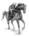 Jef Murray - The Black Rider (Sketch).jpg